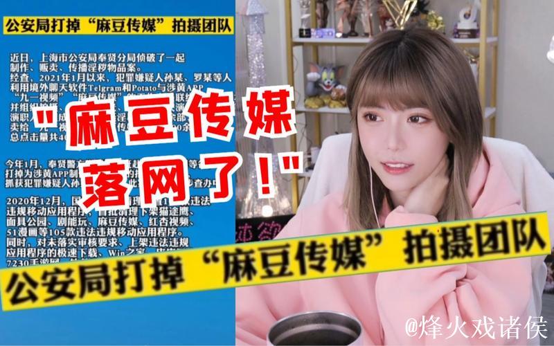 麻豆文化影视传媒网站入口官方平台