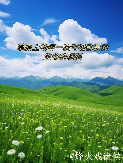 青青草久草：追寻自然与心灵的宁静