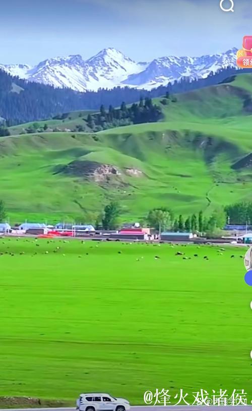 探索青青草原频道的无限精彩旅程